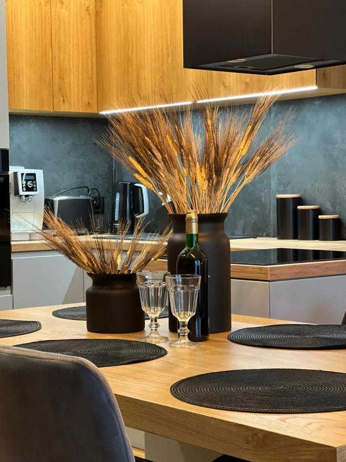 Family & Business Elegant Apartments, Kadzielnia, Wdk, Stadion Korona -1 Bedroom, Terrace, Garage, New! Κίελτσε Εξωτερικό φωτογραφία